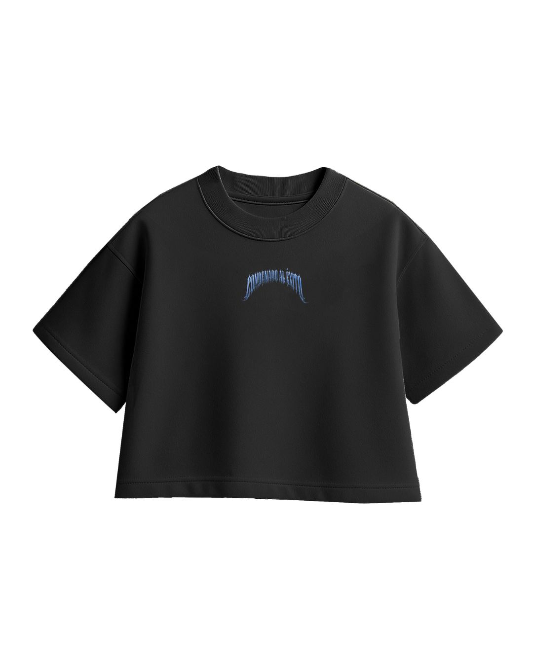 BOXI FIT CONDENADO AL EXITO